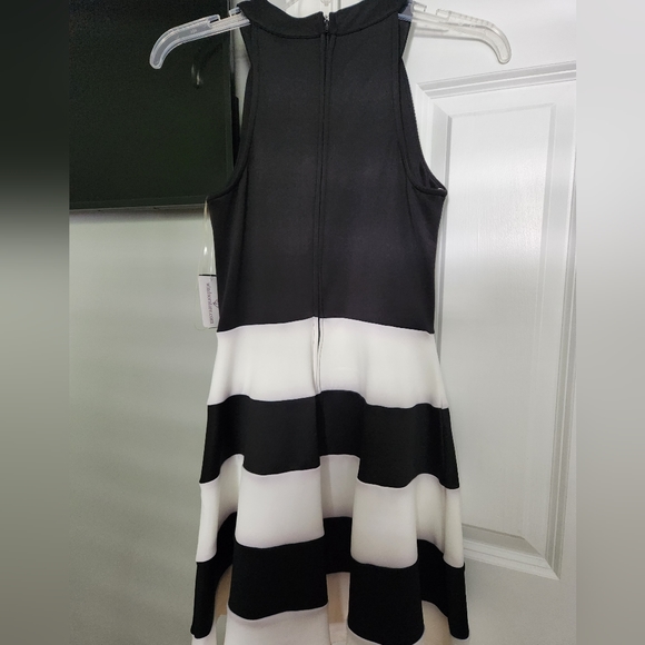 Windsor skater dress. Size 3. - Picture 4 of 4